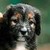 :iconliza152000: