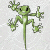 lizardfuel55 :iconlizardfuel55: