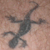 :iconlizardlsa: