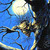 lizardshadow :iconlizardshadow: