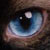:iconLizBleak: