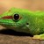 :iconliziep2: