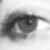 :iconlizmcp: