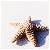 :iconlizzie-doodle: