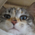 :iconlizziex3:
