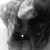 :iconlizzkayphotography: