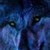 :iconlizzyrjb: