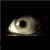 :iconLKS1988: