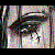 :iconll-angel-of-death-ll: