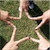 :iconll-nes-ll: