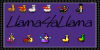 :iconllama4allama: