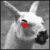 :iconllamapalooza489: