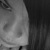 :iconlloor: