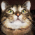LluviaWolf :iconlluviawolf: