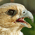 :iconllvlls-prestige:
