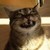 :iconllwraithll: