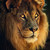:iconlmd1984: