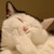 :iconloadingerror404: