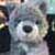 :iconlobitomp: