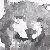 :iconlobo-estepario: