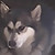 :iconlobogirl1989: