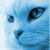 :iconlobomx: