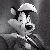 :iconlobonator: