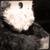 :iconlobotomonkey: