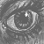 :iconlobster-popsicle:
