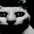 :iconlocalite:
