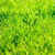 :iconlockenkind: