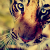:iconlocklady: