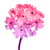 :iconlockwoood: