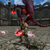 :iconlockyhakan3: