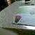 :iconlodecont:
