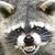 :iconlofing: