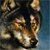 LogartRU :iconlogartru: