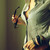 :iconlogodesign-us: