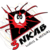 :iconlogoegypt: