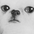 :iconlohannaoliveira: