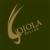 :iconloioladesign:
