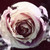 :iconloislane26: