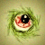:iconlokelany:
