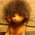 :iconloki0202: