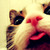 :iconlokis013: