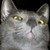 :iconlokisdakine: