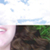 :iconlolarayne: