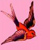 :iconloli-phabay: