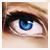 :iconlolie-xiongmao: