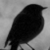 :iconlolimnotverynice:
